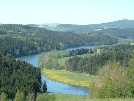 Haus Bergblick Bay. Wald Apartamento Prackenbach Exterior foto