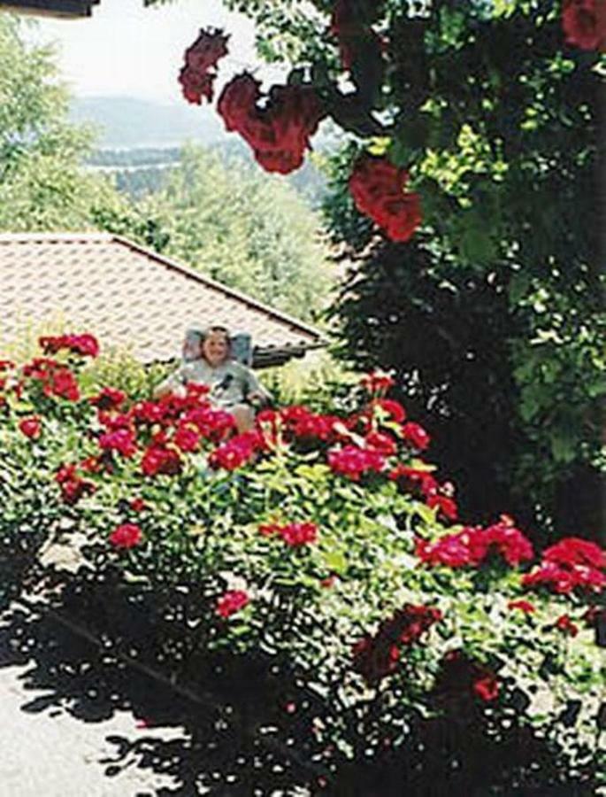 Haus Bergblick Bay. Wald Apartamento Prackenbach Exterior foto
