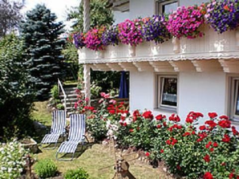 Haus Bergblick Bay. Wald Apartamento Prackenbach Exterior foto