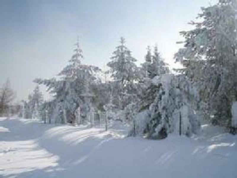 Haus Bergblick Bay. Wald Apartamento Prackenbach Exterior foto