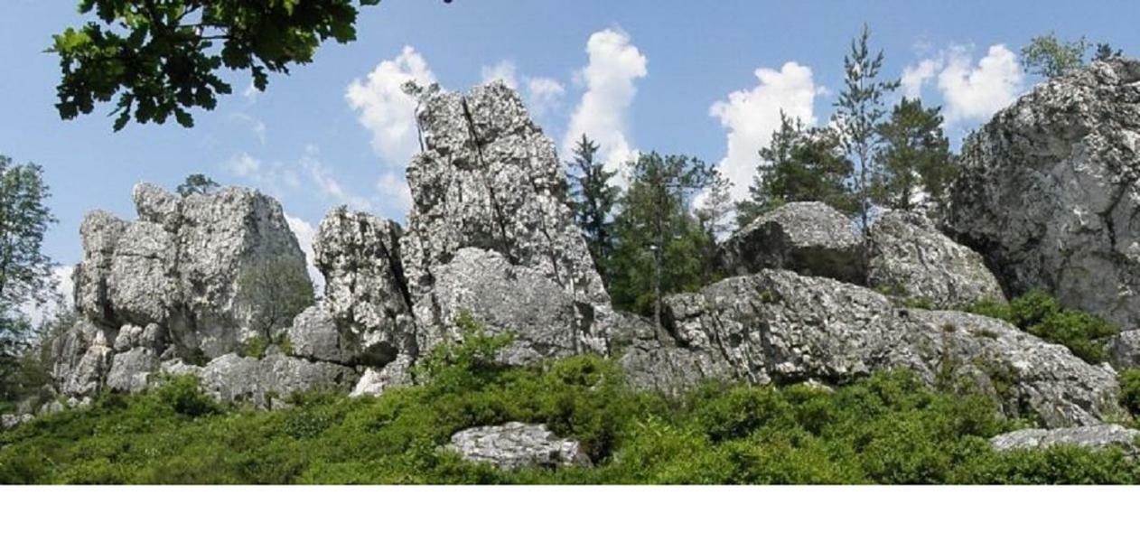 Haus Bergblick Bay. Wald Apartamento Prackenbach Exterior foto